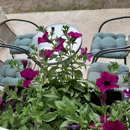 Apartment Bozovic Zlatibor