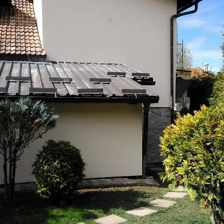 Apartment Bozovic Zlatibor