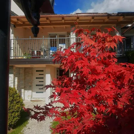 Bozovic * Zlatibor