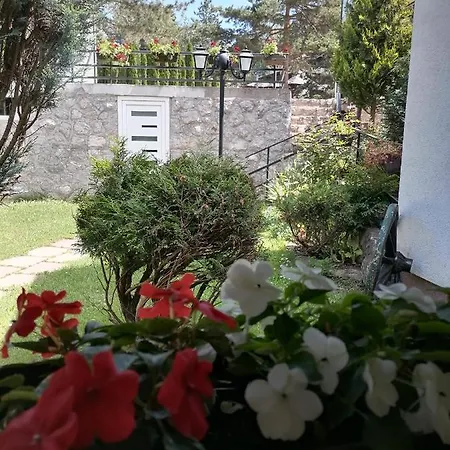 Bozovic Apartment *