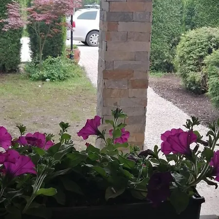 Bozovic Apartment Zlatibor