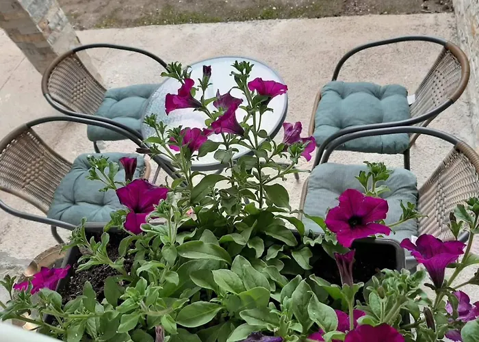 דירה Bozovic זלאטיבור