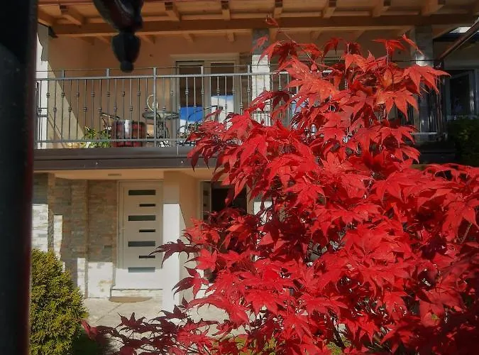 Bozovic * זלאטיבור