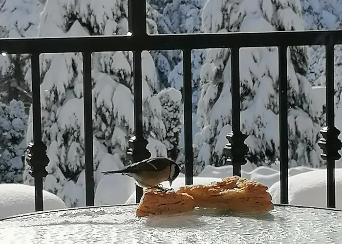 Bozovic זלאטיבור