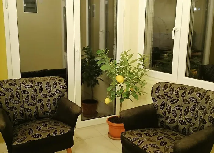 Bozovic זלאטיבור