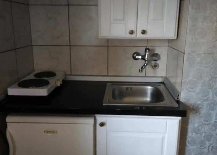 Bozovic זלאטיבור