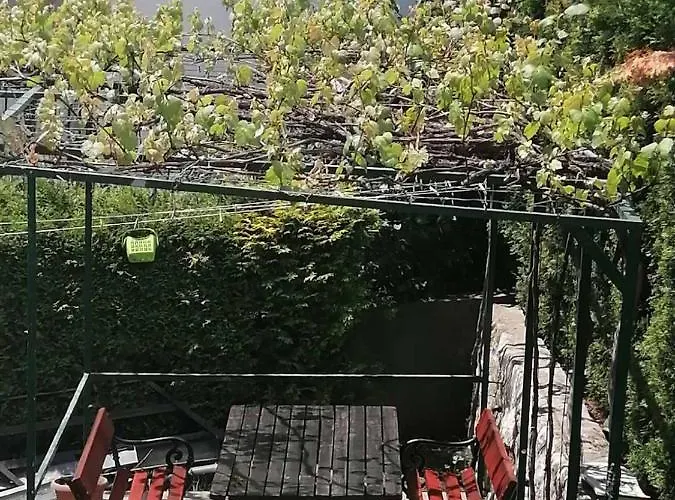 Bozovic * זלאטיבור