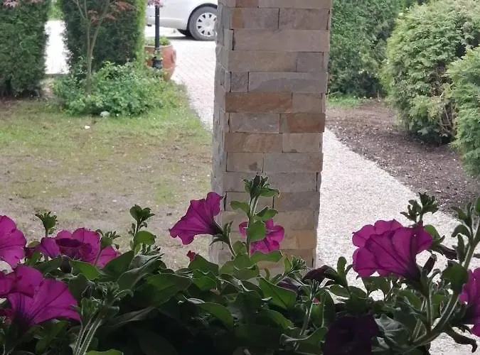 Bozovic דירה זלאטיבור